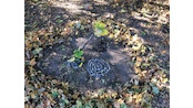 land art (13)