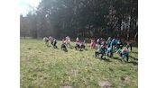 IMG_20250401_143233