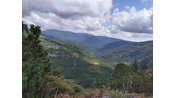 IMG_20250908_134415