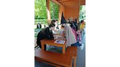 IMG_20250430_141508