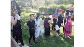 IMG_20250430_143226