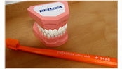 Dental Prevention - jak na zoubky v 1. třídách