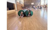 IMG_6682