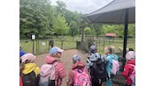 IMG_6567