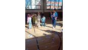 IMG_20260313_141842