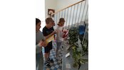 IMG_20250912_113215
