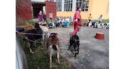 IMG_20260416_132639