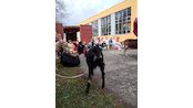 IMG_20260416_133751