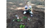 IMG_20240919_141735