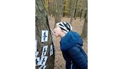 IMG_20241025_135346