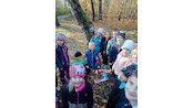 IMG_20241108_135301