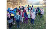 IMG_20241108_141139