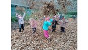 IMG_20241111_133541
