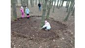 IMG_20250124_140117