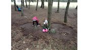 IMG_20250124_140432