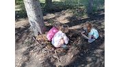 IMG_20250403_142647