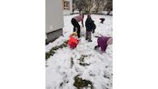 IMG_20241206_134620