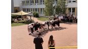 20260625_141145016_iOS