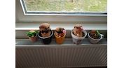 IMG_20260323_142421