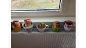 IMG_20260323_142425