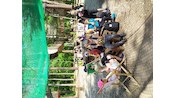 IMG_20210610_110245