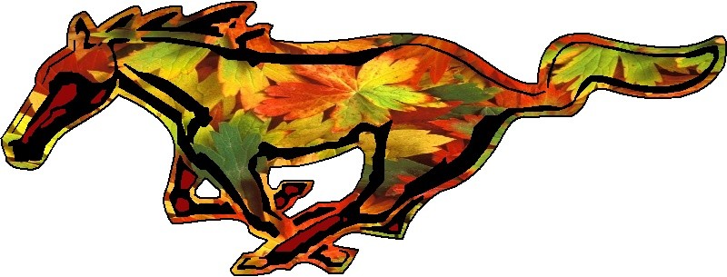 Zoner Callisto - 9.A - ilustrace do almanachu