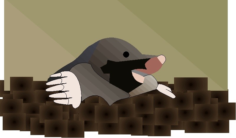 Zoner Callisto - 9.A - ilustrace do almanachu