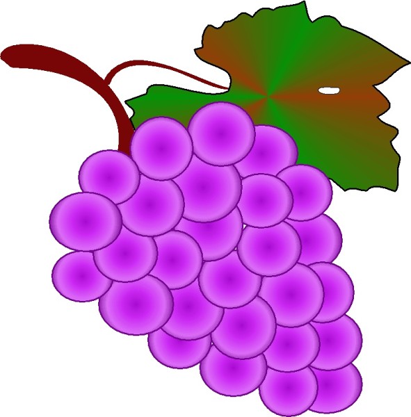 Zoner Callisto - 9.A - ilustrace do almanachu